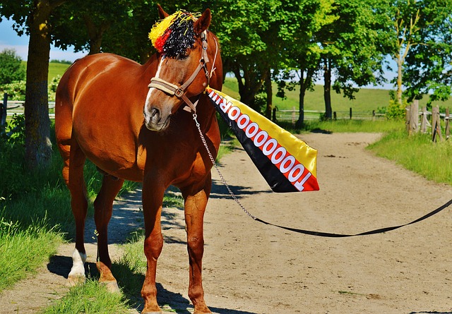 让全队士气 让全队士气