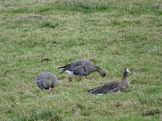 向新的高度 向新的高度