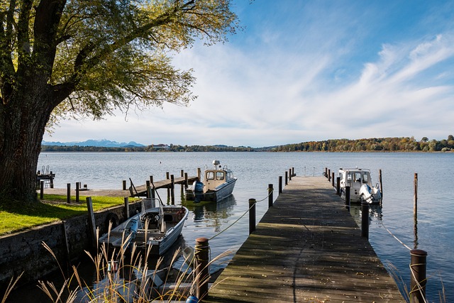 在俱乐部的 在俱乐部的