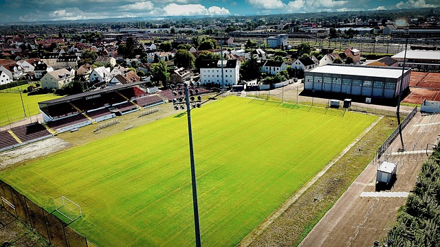 如何在对方 如何在对方